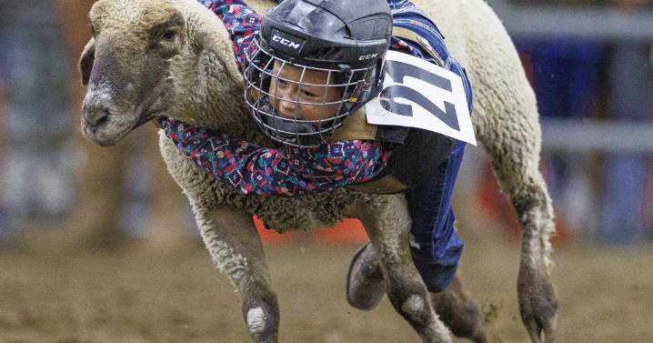 8 things to know before you go to Lancaster County Super Fair