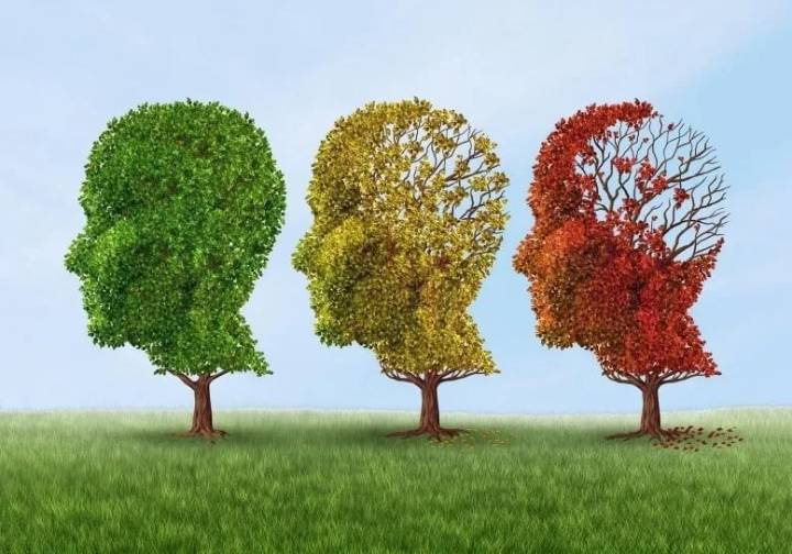 Nuevos hallazgos: Fármacos contra el cáncer muestran potencial para revertir efectos del alzhéimer en ratones