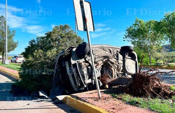Vuelca, choca contra árbol y lo derriba