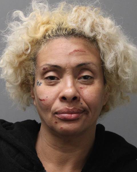 Coram woman sentenced to 7 years for running over woman after parking lot fight