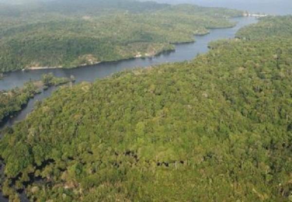 FANB rescató a tres sobrevivientes de la avioneta que se precipitó en Amazonas (+Video)