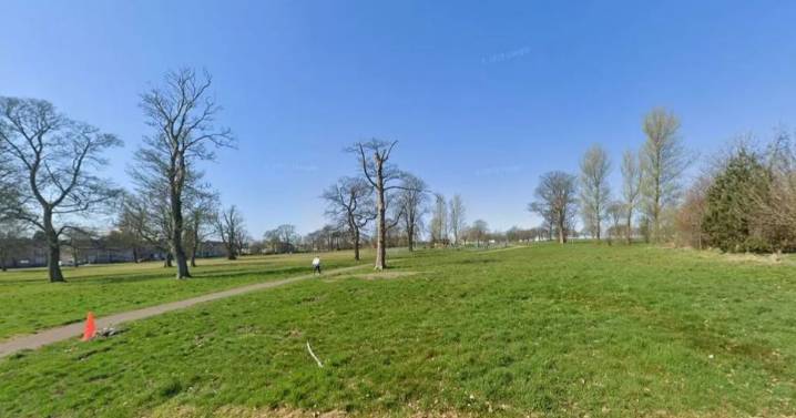 XL Bully killed and owner rushed to hospital after 'attempted murder' in Aberdeen park
