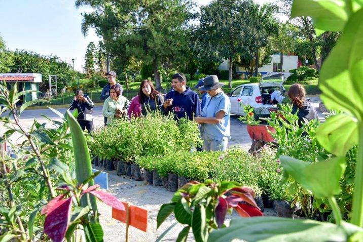 Municipio ha entregado más de 20 mil plantas en su programa de...