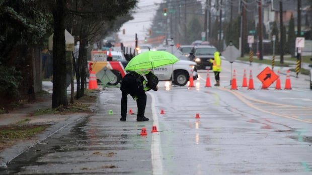 2 men sentenced in fatal Surrey, B.C., hit and run that dragged man underneath car