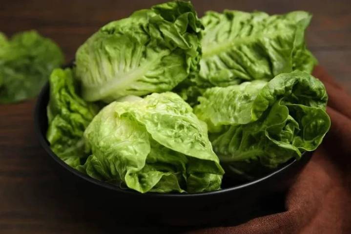 ¿Sabías que el agua de riego puede contaminar tu lechuga? Un estudio revela cómo evitarlo