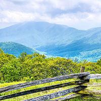Jay Strafford: Nelson County provides endless fodder for Elle Cosimano, Rita Mae Brown