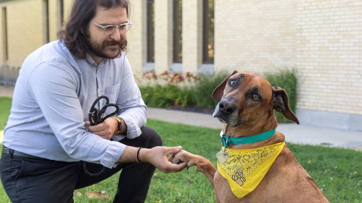 New MU research to explore the health of service dogs