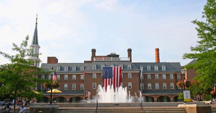 Help Reimagine City Hall: Alexandria Invites Public to Weigh In at Weekend Farmers' Market Pop