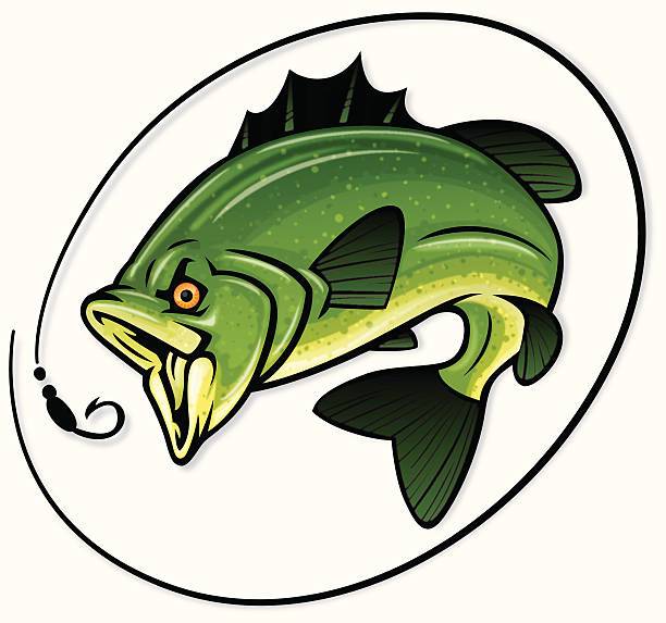 Fishing Reports 8/6/25