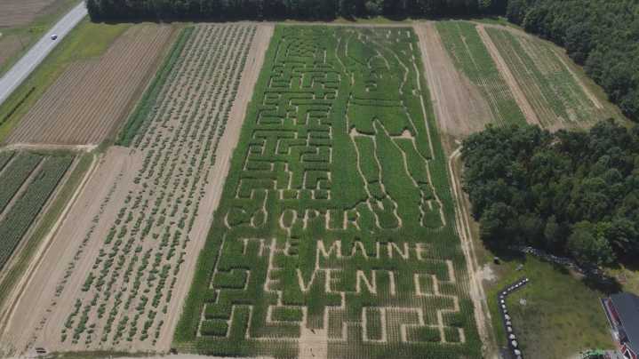 Maine corn maze pays tribute to Cooper Flagg’s NBA journey