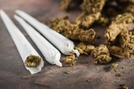 Michigan’s marijuana industry jolted by Ohio legalization, local vote defeats