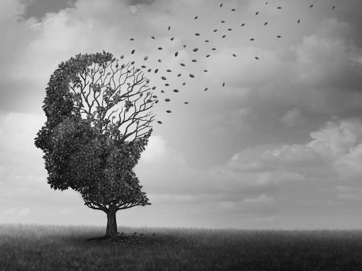 New study sets out factors involved staving off dementia