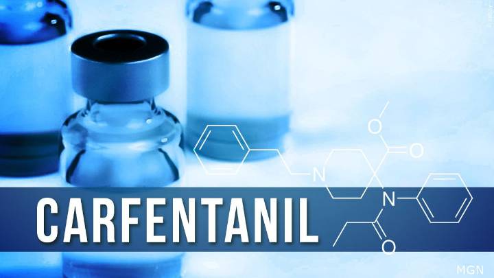 Funcionarios de salud confirman la primera sobredosis mortal de carfentanilo en un residente del condado de Riverside