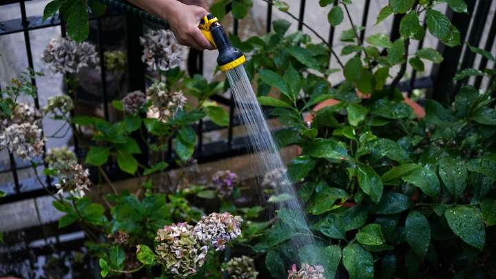 Thames Water announces hosepipe ban for customers across Oxfordshire and Berkshire