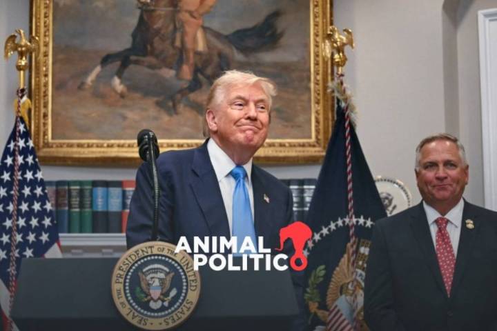 Trump cumple su amenaza; impone arancel del 50 % a importaciones para productos de cobre