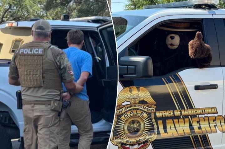 Smokey the Bear arrests man for allegedly stealing his signs in Florida to sell on Facebook