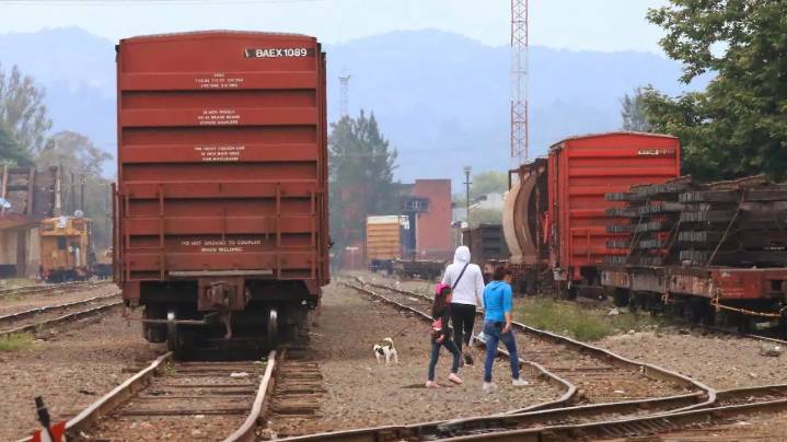 Legisladores y empresarios piden analizar posibles riesgos al reactivar tren de pasajeros y carga