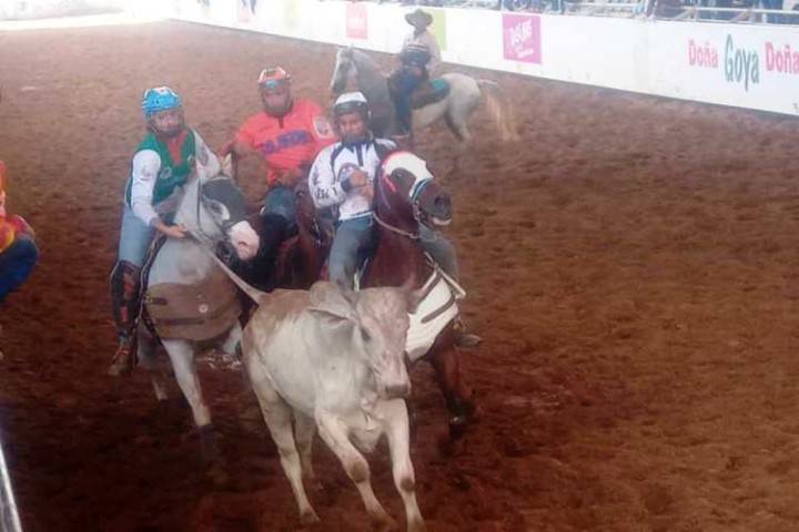 Delegación de coleo miró de cerca las medallas