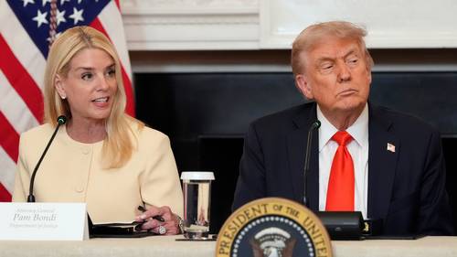 Trump's effort to quell MAGA revolt over Epstein files seems to add fuel to the fire