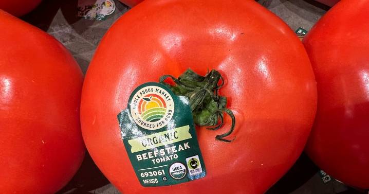 US Imposes Major Duty On Fresh Mexican Tomatoes To Boost Domestic Production