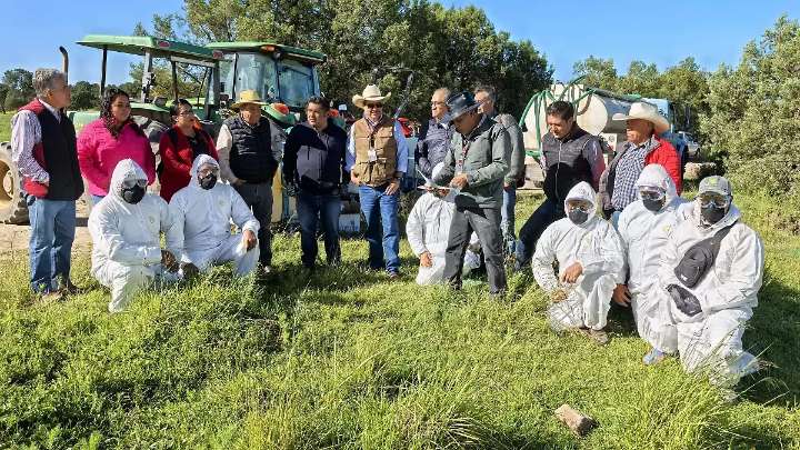 Yauhquemehcan va contra la plaga del chapulín: inicia operativo en Santa Úrsula Zimatepec