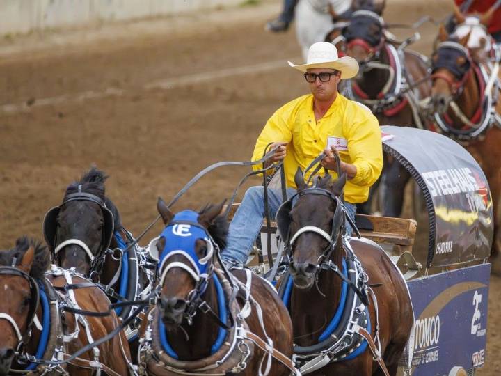 Chuckwagon horse hurt Saturday night