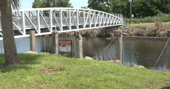 Blue-green algae currently covers about 40% of Lake Okeechobee, DEP says
