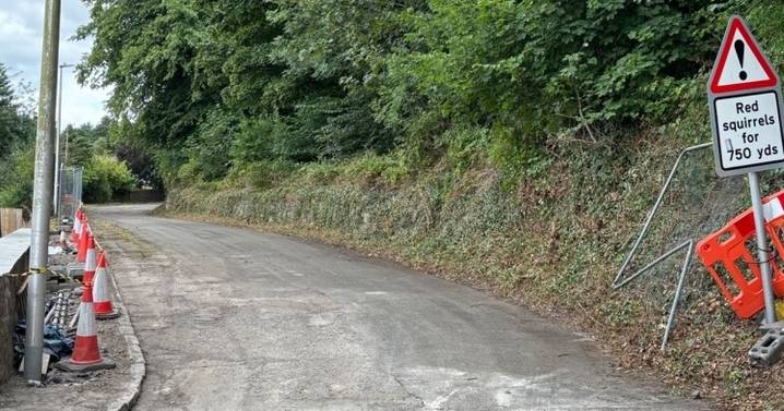 Daily inspections set for collapsed wall in Bridge of Allan street reopened after two year closure