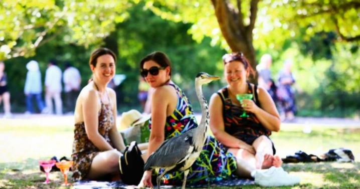 UK faces 31C heatwave next week but only eight counties in England will feel it