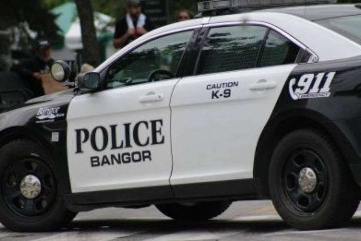 Bangor Police Arrest a Man for Allegedly Punching a Dog