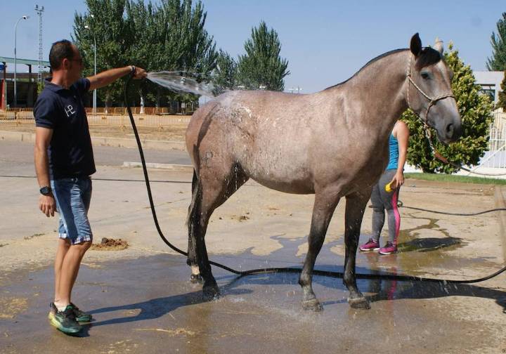 Las cabañuelas avisan con su refrán del tiempo de esta semana: «Agosto tiene el secreto de...»