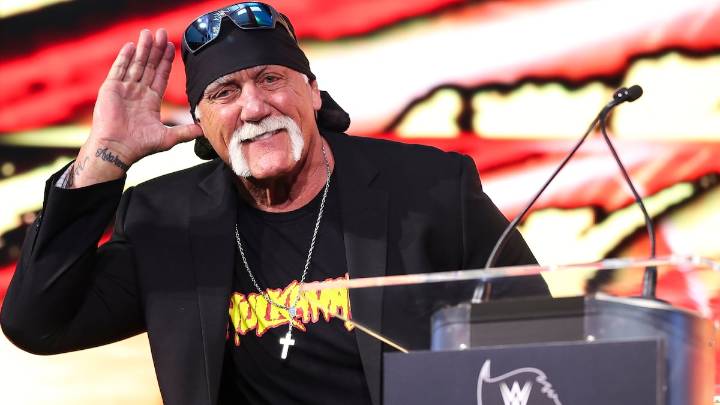 DeSantis creates a Hulk Hogan holiday in Florida