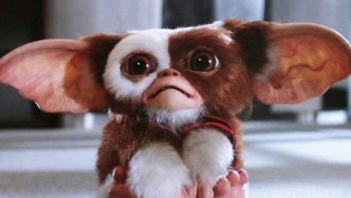 GREMLINS 3 Could Finally Happen if Steven Spielberg Approves New Script