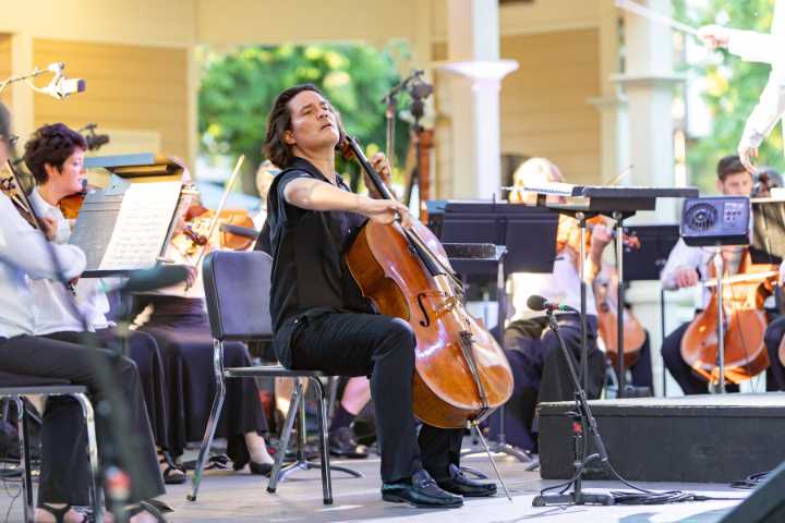 Tour de force of talent: Now in its third year, the Vancouver Arts & Music Festival has grown