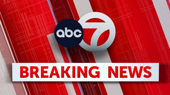Car plows through crowd in Los Angeles after driver loses consciousness striking at least 20