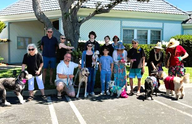 Doggie Duds Dazzle at Cays Canine Fashion Pageant
