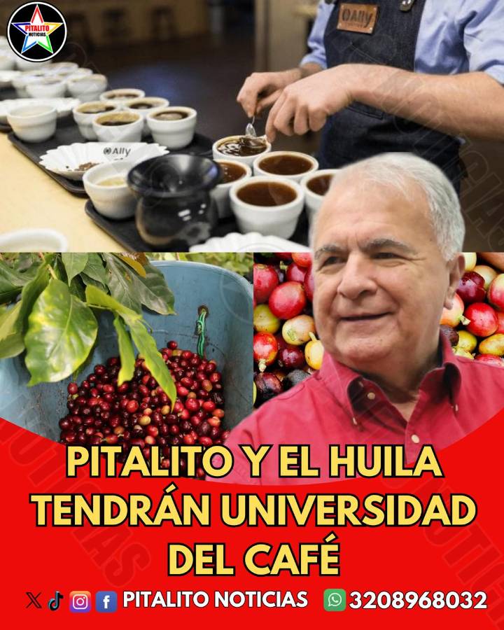 Pitalito y el Huila tendrán Universidad del Café