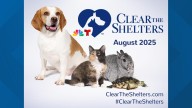 Northeast Ohio animal shelters participating in 2025 Clear the Shelters: See the list