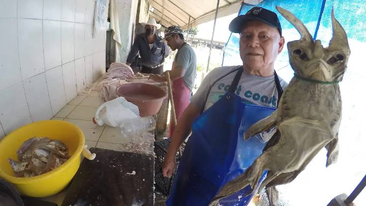 El pez diablo amenaza ríos de Tamaulipas
