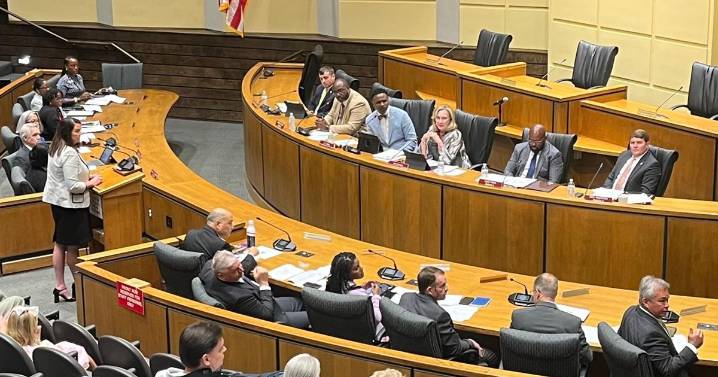 Mobile Council may consider call for spay