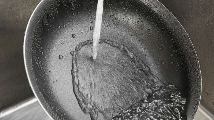 MU researcher using fungi to remove forever chemicals from drinking water