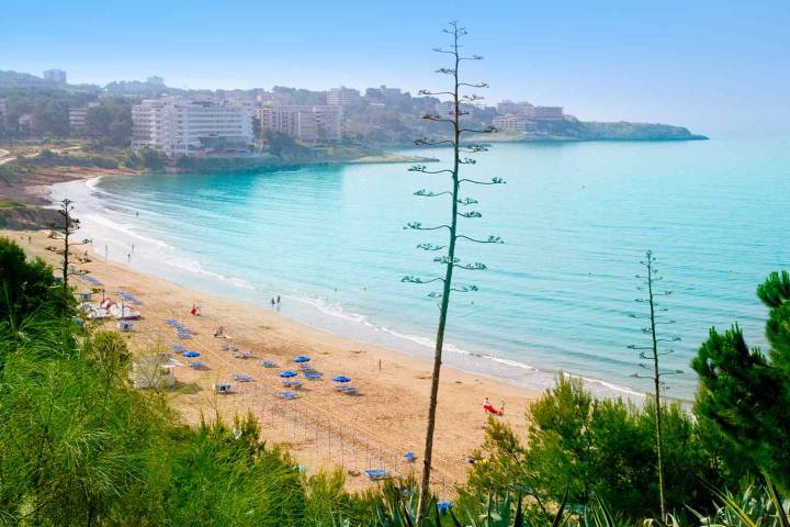 Brother, 11, and Sister, 13, Drown off Beach as Father Tries to Save Them: Reports