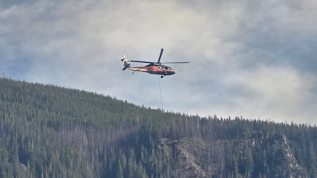 B.C. wildfires tempered by wet weather but dry conditions on the way, wildfire service says