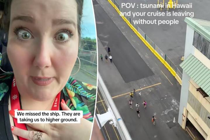 Cruise ships fearing tsunami abandon passengers at dock following earthquake