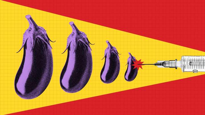 The Rise of the $200,000 Penis