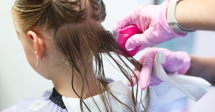 From pop tours to parasite treatment: Meet Atlanta's Lice Ladies