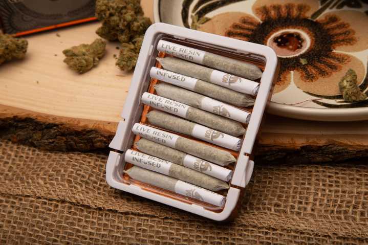 Koa brings sloth conservation to the cannabis space