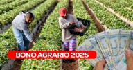 Bono agrario 2025: Consulta AQUÍ si estás registrado en el Padrón de Productores Agrarios