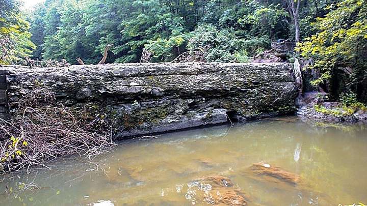 RECUPERACIÓN AMBIENTAL RÍOS | Abogan por eliminar presas en los ríos: "Los ecosistemas acuáticos se recuperan en tres años"