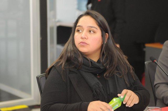 Concejala explica su rechazo a patentes de alcoholes : «llamo a mis colegas a la coherencia»